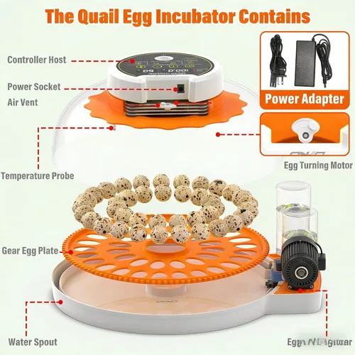 Miniatura 6 de Quail Egg Incubator with Automatic Turner and Humidity Control,Bird Incubator Capable of Hatching 40 Quail Eggs, Poultry Egg Incubators with an
