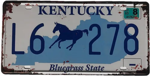 Miniatura 18 de Placa de matrícula de Wyoming de aluminio, placa decorativa de automóvil novedosa, placas de matrícula de 12"x6" para el frente del automóvil, placa