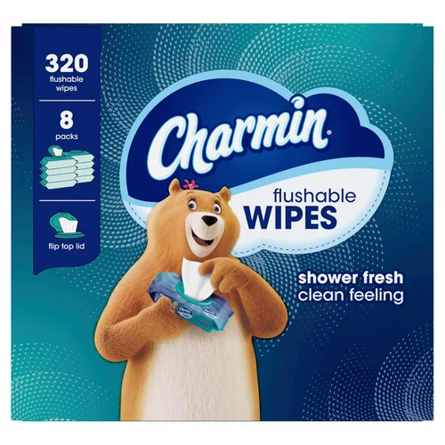 Miniatura 9 de Charmin Toallitas desechables, 160 toallitas en total (4 paquetes de 40)