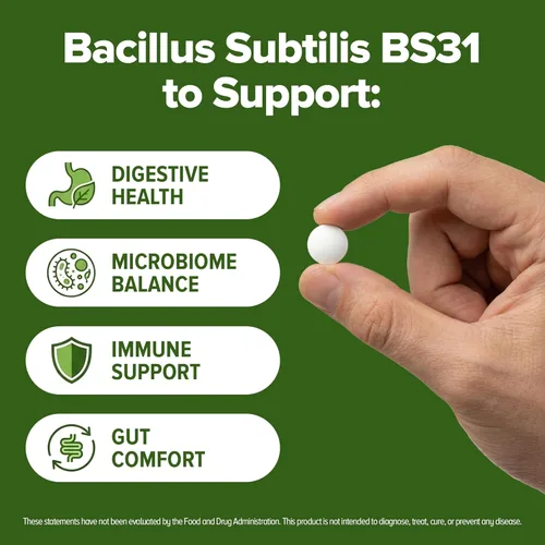 Miniatura 4 de Bacillus Subtilis Probiótico 240 Tabletas (suministro para 4 meses) – Cepa investigada BS31 – 3 mil millones de UFC – Salud digestiva y apoyo