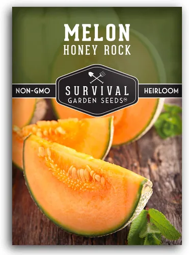 Survival Garden Seeds - Semilla de melón Honey Rock para plantar - Paquete con instrucciones para plantar y cultivar dulces y deliciosos frutos de