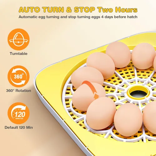 Miniatura 8 de Incubadora para incubar huevos, capacidad de 12 huevos, humidificación automática recién actualizada 2026, control de temperatura y humedad, Amarillo