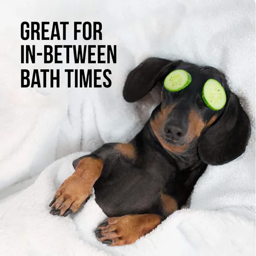 Miniatura 2 de Natural Rapport Spray desodorante para perros, el único aerosol de baño que los perros necesitan, el spray natural de colonia para gatos y perros