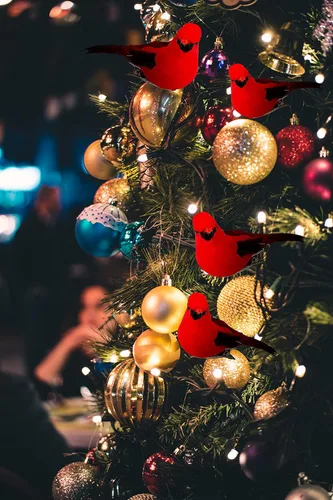 Miniatura 5 de Decoraciones de adorno para árbol de Navidad con clip cardenal – Juego de 12 plumas rojas cada una mide 2.8 pulgadas de largo (A)