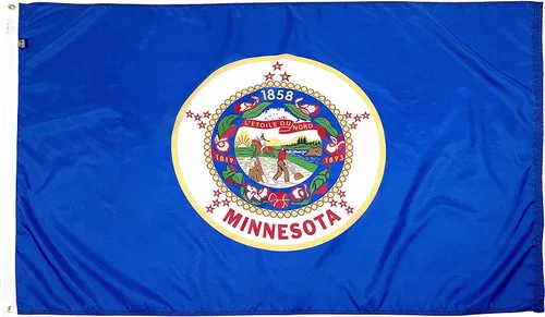 Miniatura 34 de FlagSource Bandera del estado de nailon de Iowa, fabricada en los Estados Unidos, 4 x 6 pies Iowa 4x6