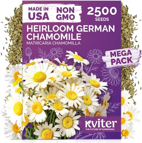 Miniatura 36 de KVITER 1600 semillas de pensamiento de los gigantes suizos para plantar (Viola wittrockiana) - Paquetes de semillas de colores mixtos Flores