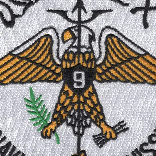 Miniatura 2 de Cv-9USS Essex parche