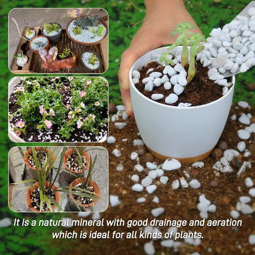 Miniatura 6 de Perlita gruesa de 3 cuartos de galón para enmienda del suelo de plantas para macetas, mejora el drenaje y la aireación del suelo, ideal
