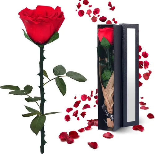 Regalos de flores preservadas para mujeres: Día de San Valentín, Día de la Madre, cumpleaños, Navidad, aniversario, regalo de boda para mamá, novia,