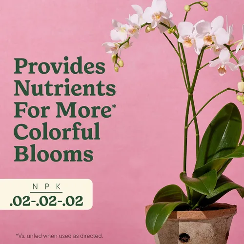 Miniatura 4 de Miracle-Gro Rocío de alimentos para plantas de interior para orquídeas, alimento para plantas de orquídeas, 8 onzas líquidas, paquete de 2 Niebla
