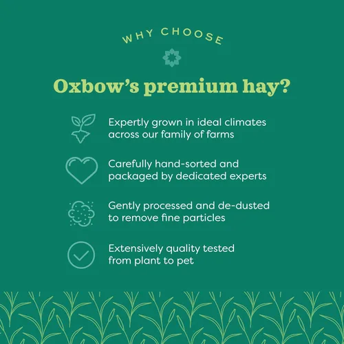Miniatura 17 de Oxbow Western Timothy Hay para Mascotas Pequeñas – Heno de Hierba Totalmente Natural para Conejos, Cobayas y Chinchillas – Alto en Fibra