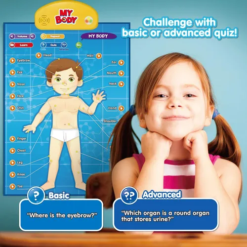 Miniatura 4 de BEST LEARNING i-Poster My Body - Juguete educativo interactivo para hablar de anatomía humana Aprende partes del cuerpo, órganos, músculos