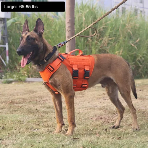Miniatura 2 de ICEFANG GN3 - Arnés táctico para perros con 6 hebillas, chaleco Molle con asa, cobertura de 3/4 del cuerpo, panel de gancho y bucle para parche