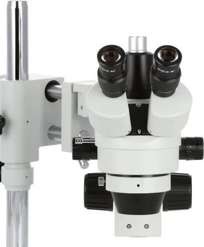 Miniatura 6 de AmScope SM-4T-80S-M Microscopio Digital Profesional Trinocular Estéreo Zoom, WH10x Oculares, Aumento 7X-45X, Objetivo de Zoom 0.7X-4.5X, Anillo