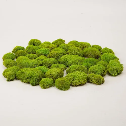 Miniatura 16 de Cojín de Musgo Polar Preservado en Forma de Bollo, Verde Natural Decorativo Real Natural, Kit de Bricolaje para Terrarios, Arte de Jardín