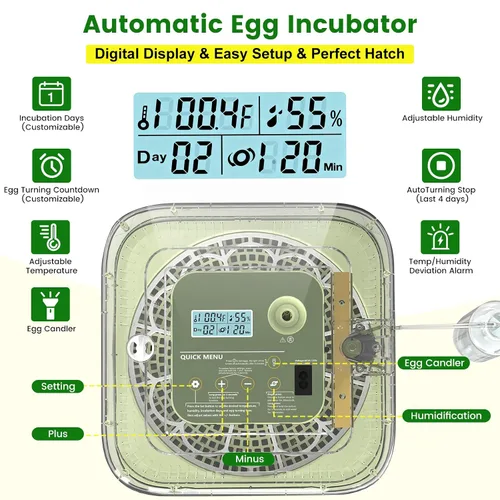 Miniatura 5 de Incubadora de 12 huevos con giro automático, recarga automática de agua y control de temperatura/humedad, además de guía de eclosión, criador
