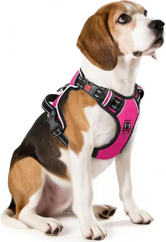 Miniatura 36 de Timos Arnés para perro de tamaño pequeño, arnés sin tirones para mascotas con cuello a presión bloqueable, chaleco reflectante para perro, sin