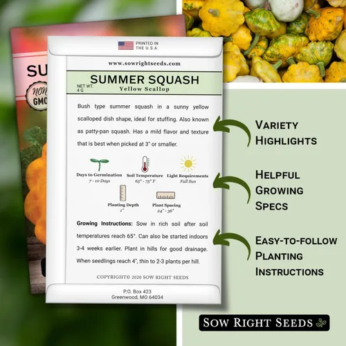 Miniatura 2 de Sow Right Seeds - Semilla de calabaza vieira amarilla para plantar - Paquete de reliquia sin OMG con instrucciones para plantar un huerto casero