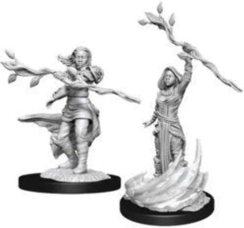 Miniatura 5 de D&D Nolzurs Marvelous Unpainted Miniatures: Wave 8: Human Female Clérigo