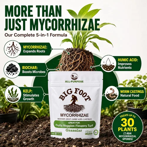 Miniatura 3 de Big Foot Micorrizas – Duplica el tamaño de tu planta – Fácil de usar – Fabricado en Estados Unidos – Trata 30 plantas (7,500 esporas de micorrizas)