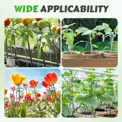 Miniatura 4 de Paquete de 4/8/12 estacas para plantas, estacas de soporte para plantas de 16/24/36 pulgadas, nuevo soporte de palos para plantas 2025, estacas
