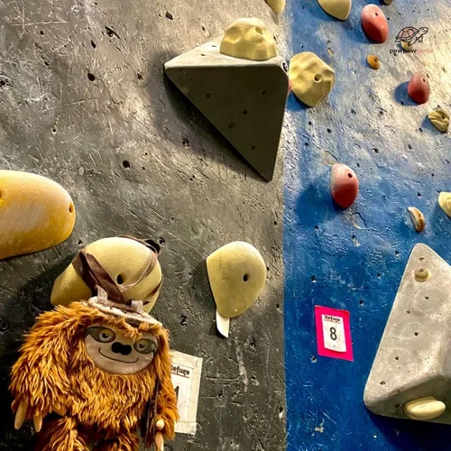Miniatura 7 de Bonita bolsa de tiza para levantar, gimnasio y escalada en roca, cubo grande de tiza con cinturón ajustable, bolsa de polvo de agarre para boulder