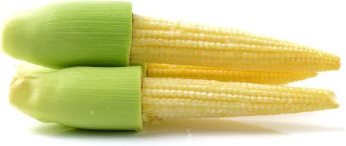 Liliana's Garden - Semillas de maíz sin cáscara de rápido crecimiento "Japanese Hulless" - Semillas de palomitas de maíz o "Baby Corn" | Semillas