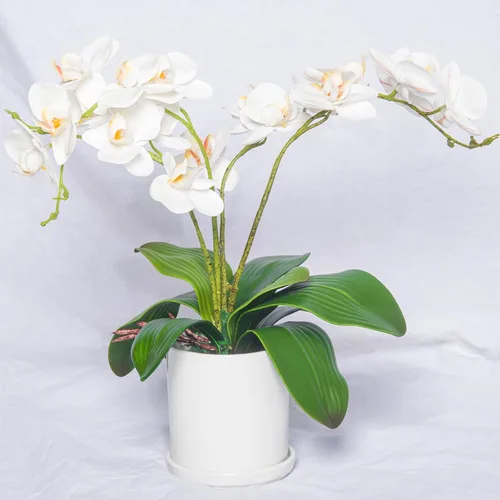 Miniatura 6 de Miracliy Orquídeas falsas, paquete de 6 hojas de orquídeas artificiales, tallos de vegetación sintética para jarrón, estante, escritorio, decoración
