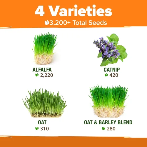 Miniatura 3 de Home Grown 3200+ Recambio de hierba para gatos de interior – Semillas de hierba gatera, avena y alfalfa cultivadas en Estados Unidos sin OMG