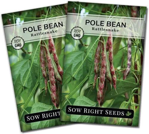 Sow Right Seeds - Semillas de frijol de serpiente de cascabel para plantar - Paquete de reliquia sin OMG con instrucciones para plantar un huerto en