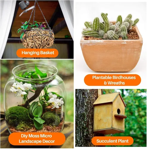 Miniatura 3 de 3 Oz de musgo esfagno para orquídeas - Sukh Musgo de turba esfagno para plantas, fibra larga, mezcla para macetas de orquídeas de fibra larga