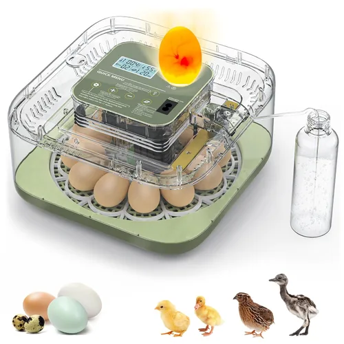 Incubadoras para incubar huevos, capacidad de 12 huevos, incubadora de huevos con giro automático de huevos y control de humedad para todas las aves