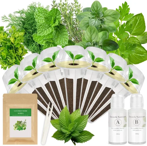 Miniatura 9 de Kit de cápsulas de semillas de fresa y pineberry para AeroGarden, Ahopegarden con fresa roja, rábano, pineberry, tomate cherry rojo