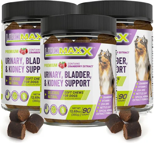 UroMAXX Tratamiento de infección del tracto urinario para perros, soporte para la vejiga y los riñones para perros, potente cuidado de mascotas,