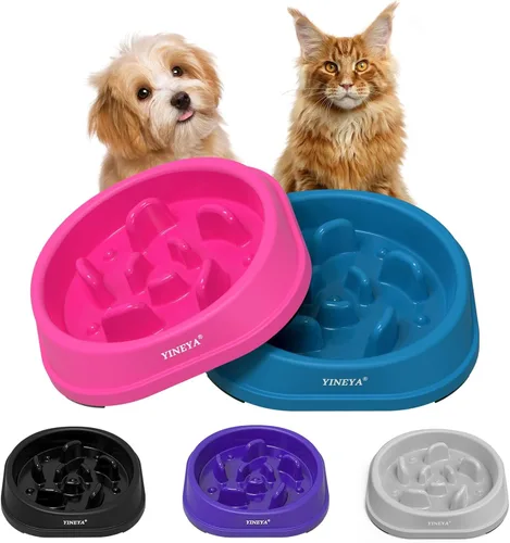 YINEYA 2 cuencos de alimentación lenta antiasfixia para perros de tamaño pequeño, cuenco de alimentación lenta para gatos, suministros y