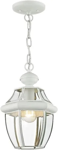 Miniatura 11 de Livex Lighting 2152-01 Monterey - Farol colgante para exteriores, 1 luz, latón antiguo