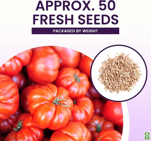 Miniatura 3 de Semillas de tomate Beefsteak para plantar, reliquia, grande y jugosa, uno de los tomates más deliciosos para el cultivo casero, semillas