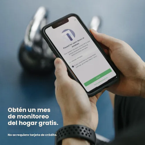 Miniatura 10 de ecobee Paquete de seguridad para el hogar con cámara de timbre inteligente (cable), sensor inteligente para puertas y ventanas y cámara inteligente