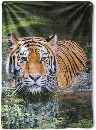 SpreadPassion Tiger Blanket - Luxurious, Silky, Super Soft Blanket - Tiger Lover Blanket Gifts for Women Kids Adults - Colorful Plush Throw Blanket