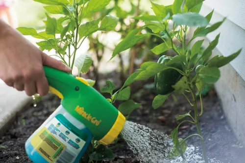 Miniatura 4 de Nature's Care 1703506 Miracle-Gro Alimentador de jardín