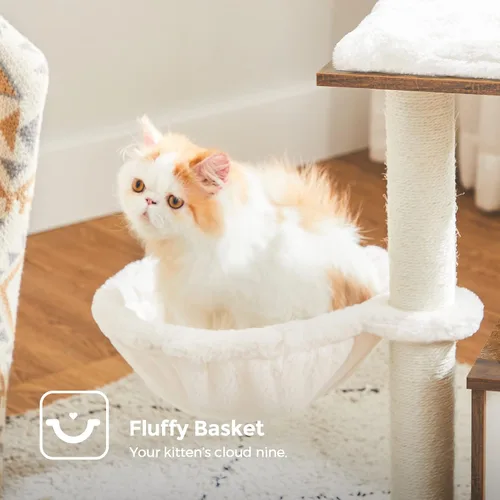 Miniatura 5 de FEANDREA Árbol pequeño para gatos para gatitos, torre moderna para gatos de interior, condominio para gatos con postes rascadores, cojines lavables