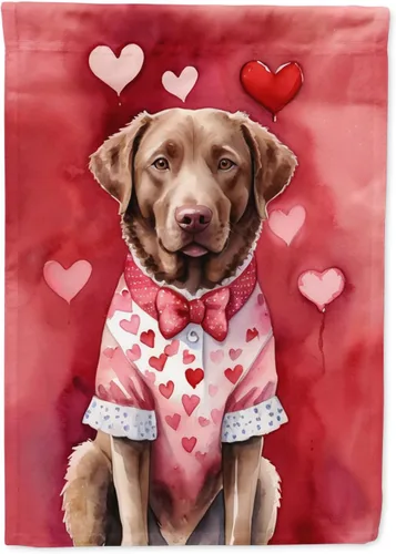Miniatura 57 de Caroline's Treasures DAC5292CHF - Bandera de Border Collie My Valentine House para porche, grande, con manga para porche, para colgar en la pared