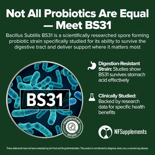 Miniatura 2 de Bacillus Subtilis Probiótico 240 Tabletas (suministro para 4 meses) – Cepa investigada BS31 – 3 mil millones de UFC – Salud digestiva y apoyo