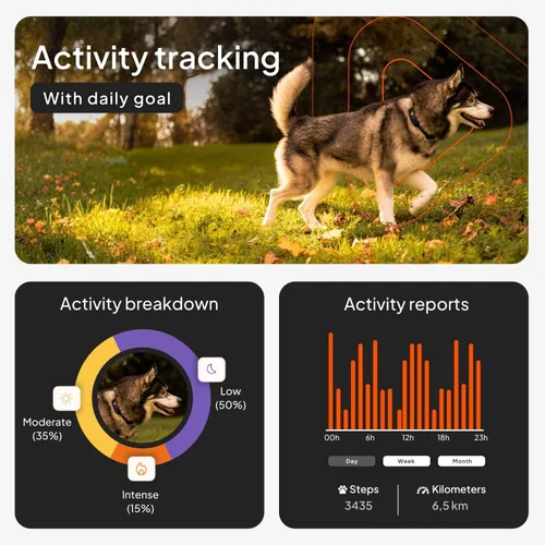 Miniatura 4 de Weenect Dog XT - Nuevo collar GPS para perros Antena XL Impermeable Collar Julius-K9 integrado ultra duradero Requiere suscripción