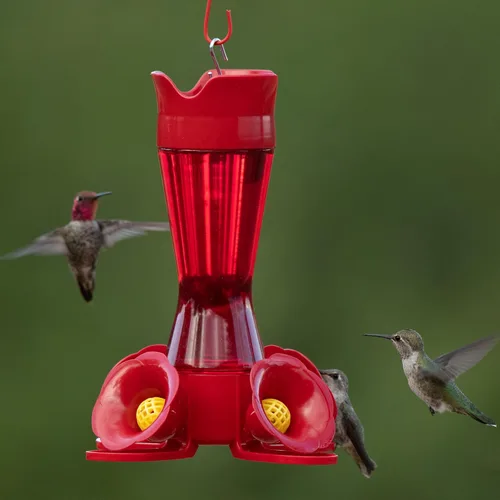 Miniatura 7 de Perky-Pet Comedero rojo para colibríes, diseño de cintura para facilitar la alimentación, comedero para colibríes para exteriores, 403CP, capacidad