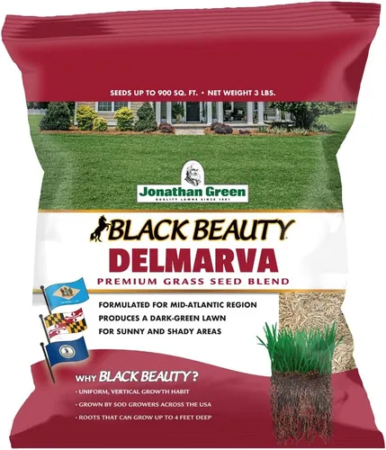 Miniatura 7 de Jonathan Green (10391) Black Beauty Delmarva - Semilla de césped (hecha para Maryland, Delaware, Virginia), semillas de césped de temporada fría