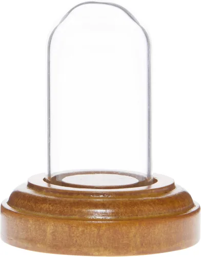 Plymor Miniatura 1" x 2" Mini cristal Display Dome Tiny Cloche (base de chapa de roble)