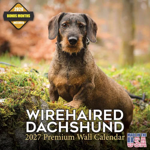 Miniatura 73 de Calendario 2025 2026 de cachorros Cocker Spaniel - Calendario mensual de pared de raza de perro - 12" x 24" abierto - Papel grueso sin sangrado