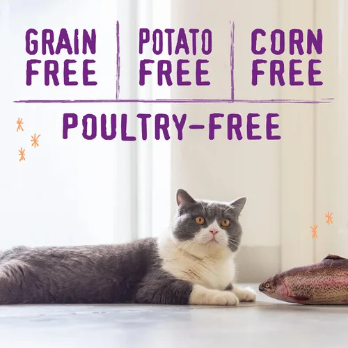 Miniatura 4 de Stella & Chewy's Raw Blend Premium Kibble - Comida para gatos sin granos, comidas ricas en proteínas, receta de pescado capturado en la naturaleza