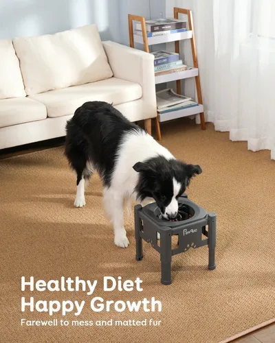 Miniatura 7 de Pawque Cuencos elevados de comida lenta para perros de 35 onzas con soporte ajustable (3 alturas de 6.1 pulgadas, 7.7 pulgadas, 9.3 pulgadas)